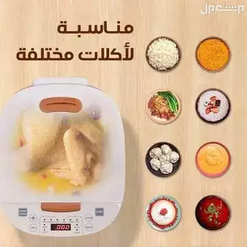 جهاز طهي جهاز طبخ كهربائي متعدد الاستخدامات متوفر للطلب لكل المدن والتوصيل والشحن مجانا