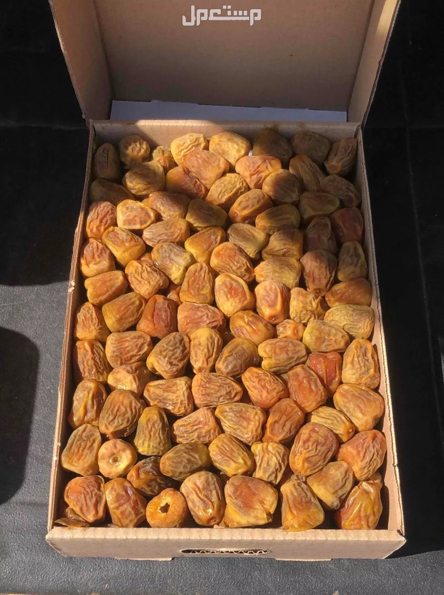 تمر سكري مفتل من مزارعنا بالقصيم طيب ب الحيل