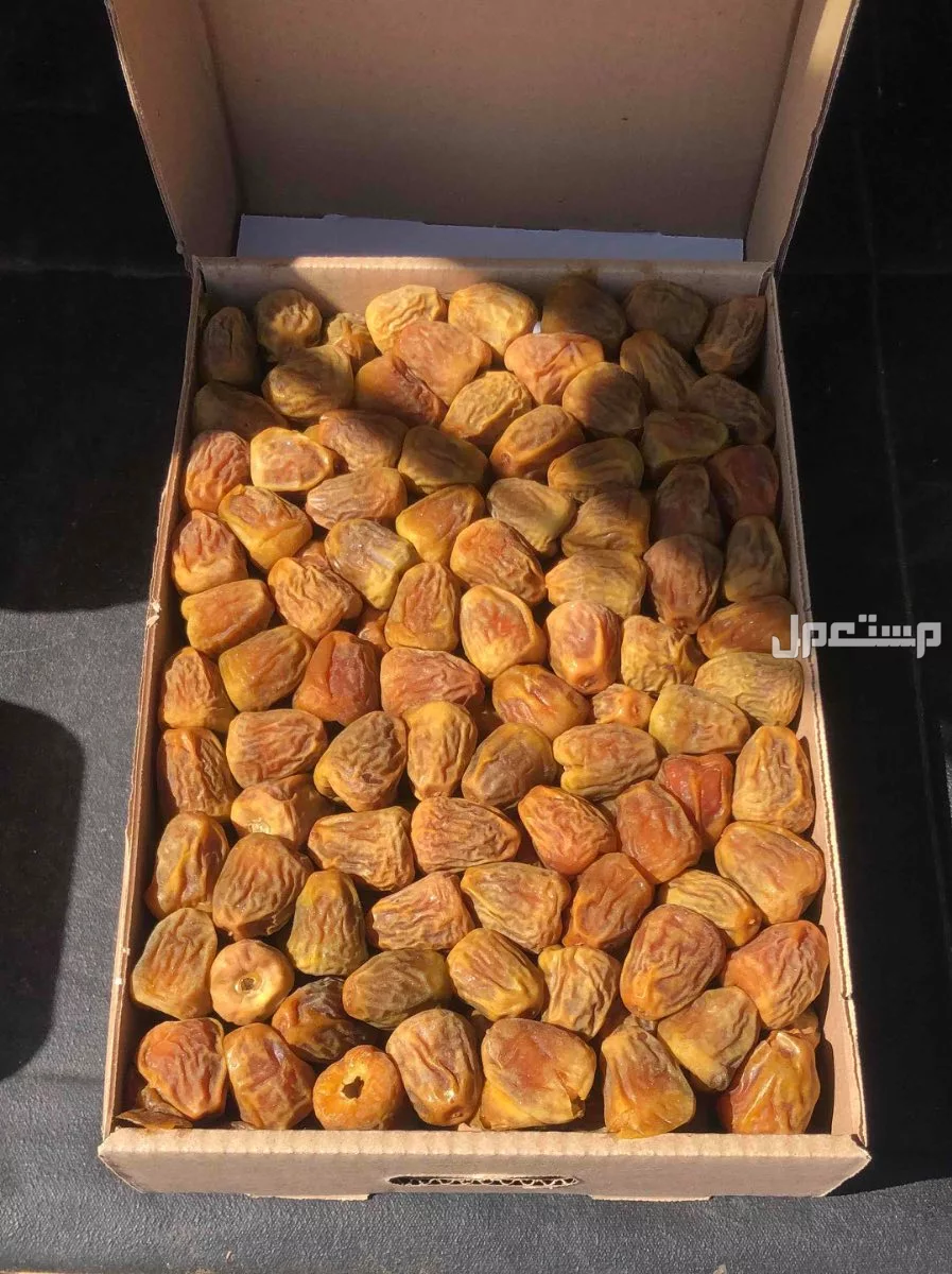 تمر سكري مفتل من مزارعنا بالقصيم طيب ب الحيل