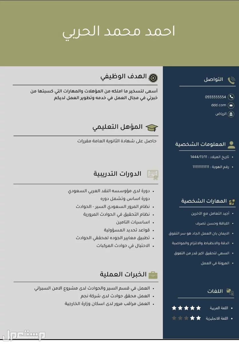 سيرة ذاتية احترافية (CV) (ATS)