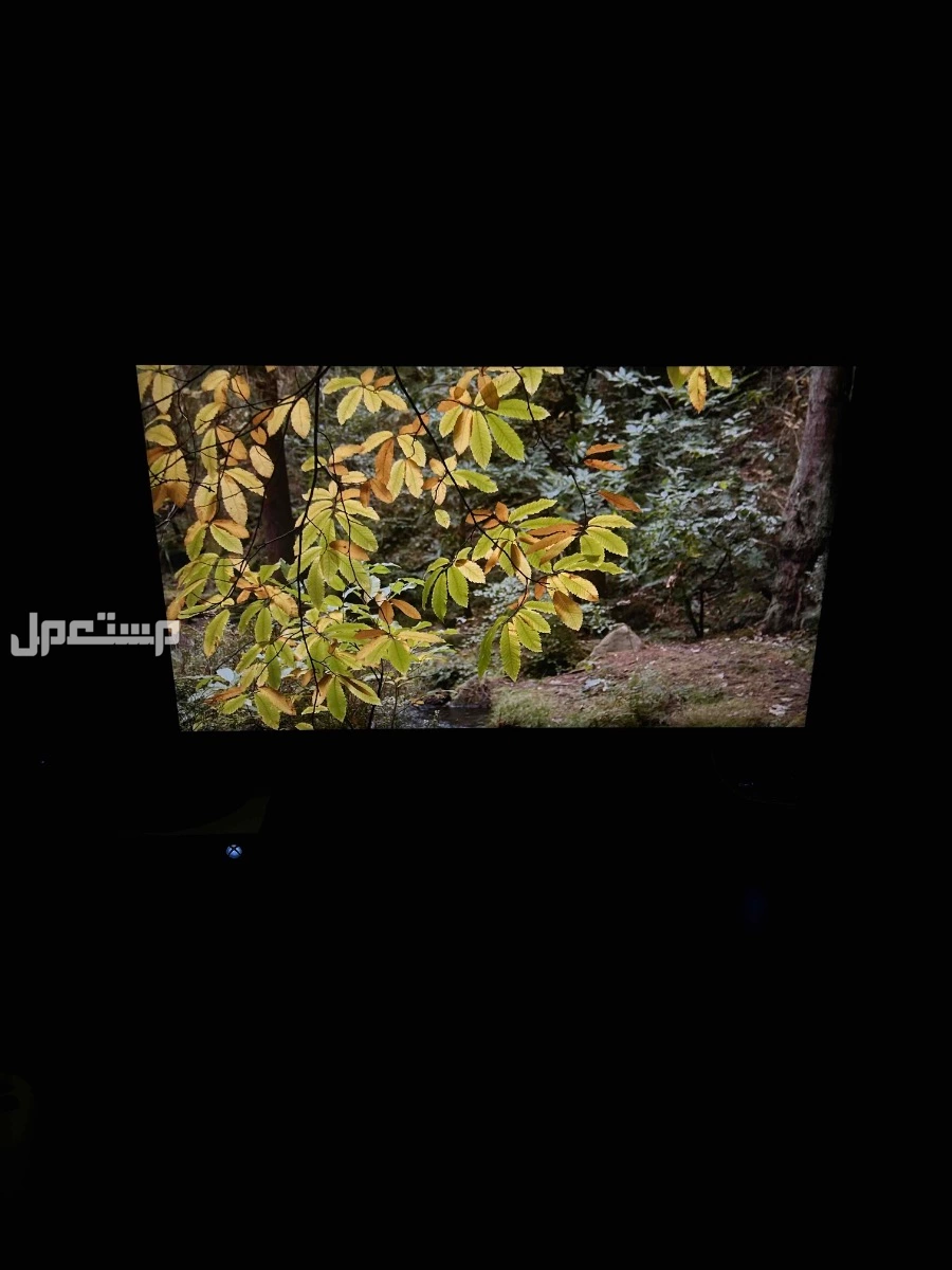 شاشه 27 بوصه بين كيو  في الرياض بسعر480 ريال سعودي.