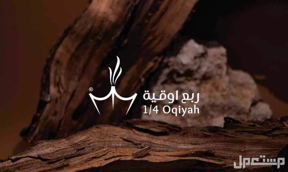 تصميم وطباعة جميع الاعمال - شعار و هوية تجارية