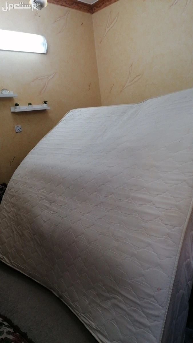 Selling furniture all in 300 riyal