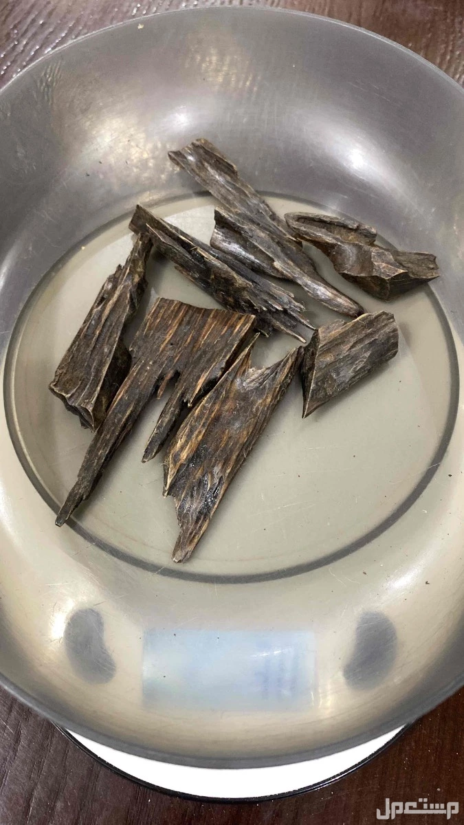 عود من اندنوسياء  في أبهــــا بسعر 150 ريال سعودي