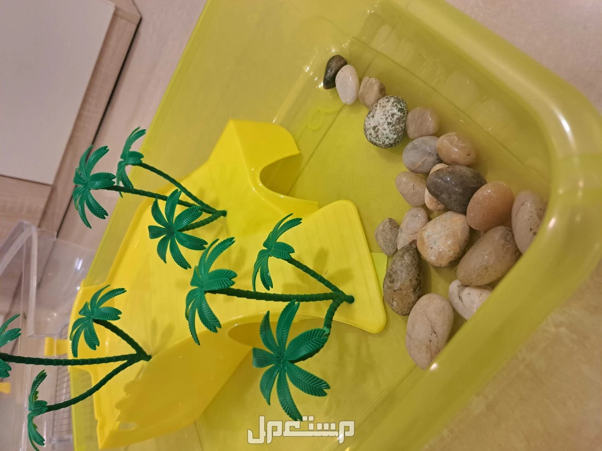 للبيع قفص سلاحف نظيف مستعمل يومين