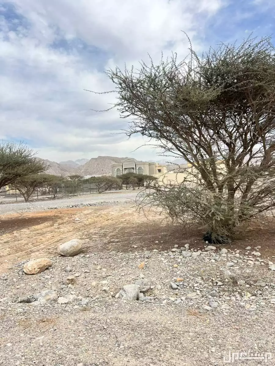 أرض للبيع في رأس الخيمة بسعر 700 ألف درهم إماراتي