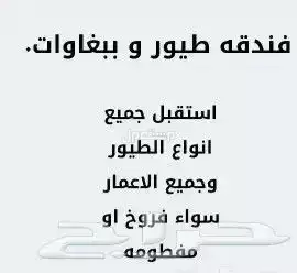 فندقه طيور و ببغاوات اليوم او اسبوع او شهر