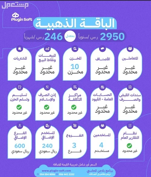 مواجهة التحديات المالية الصعبة اسهل مع نظام بلاجن السحابى