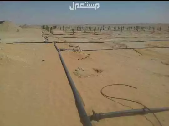 تركيب شبكات الري الزراعيه في جميع مناطق المملكه