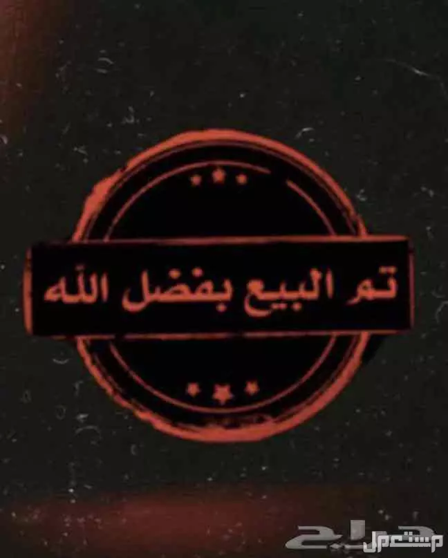 طيور الحب البادجي القصيم عنيزة 150 ريال سعودي