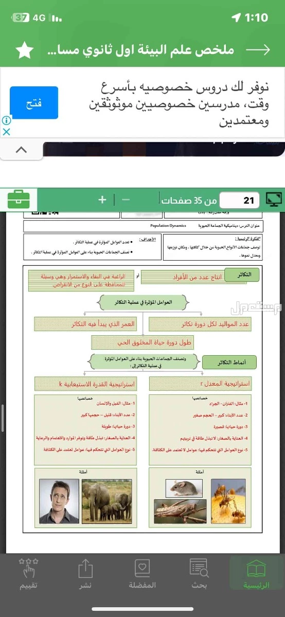 ابل ماركة أبل في الطائف مجاناً للمحتاج