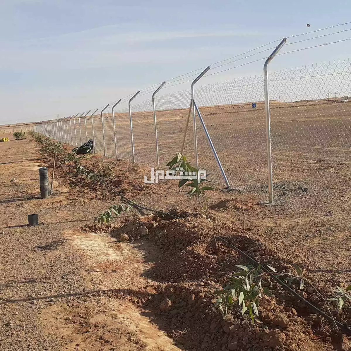 مقاول تركيب شبوك مزارع شبوك كسارات