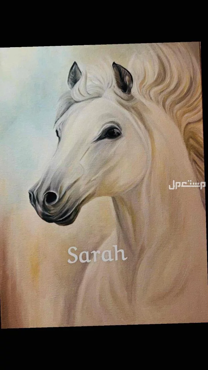 للبيع لوحة رسم  في الرياض بسعر 800 ريال سعودي لوحة رسم للبيع بالوان زيتيه مقاس 70+50 للطلب مراسلتي 🤍
