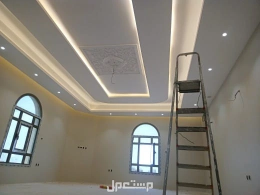 دهانات داخليه وخارجيه.جرافيت 8