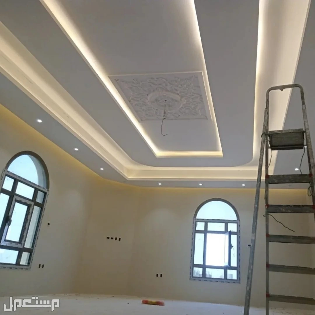 دهانات داخليه وخارجيه.جرافيت 8