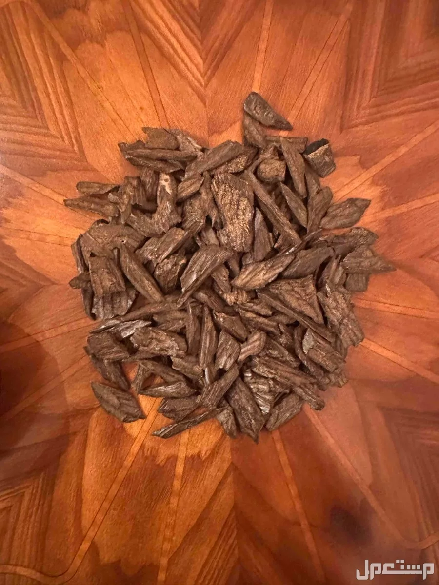 عود مروكي مني سوبر سعر جملة الجملة