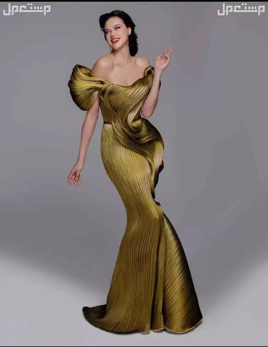فستان من المصمم فؤاد سركيس مقاس 44 يوجد كامل المرفقات نظيف ملبوس مره وحده سنة الشراء 2023 بسعر 6000