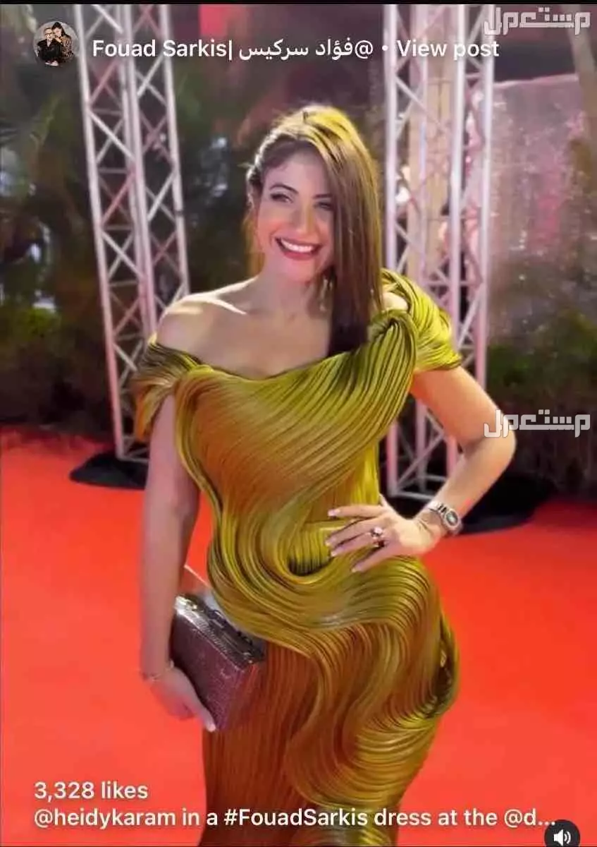 فستان من المصمم فؤاد سركيس مقاس 44 يوجد كامل المرفقات نظيف ملبوس مره وحده سنة الشراء 2023 بسعر 6000