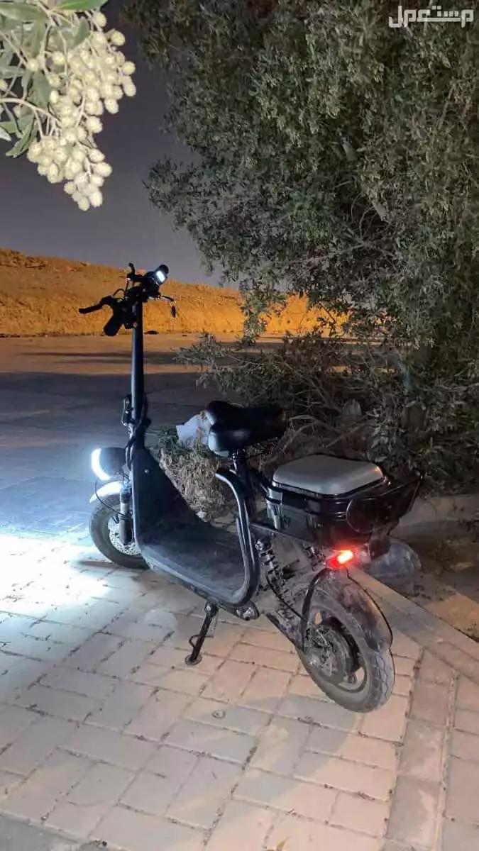 سكوتر كهربائي ابو سلة راكبين 48 فولت