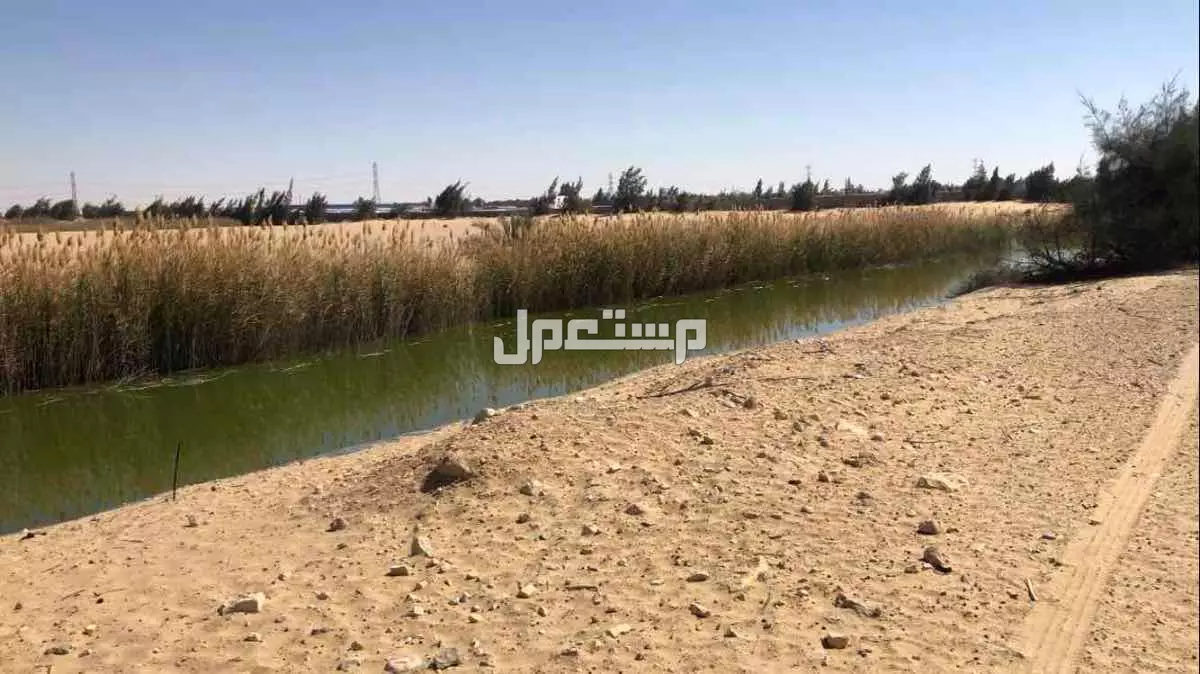 أرض للبيع في قسم القنطرة شرق بسعر 2125000 جنيه مصري