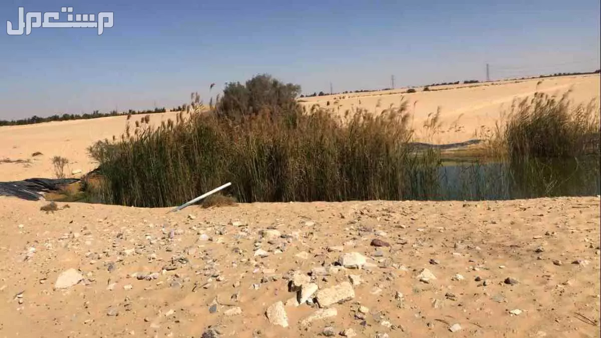 أرض للبيع في قسم القنطرة شرق بسعر 2125000 جنيه مصري