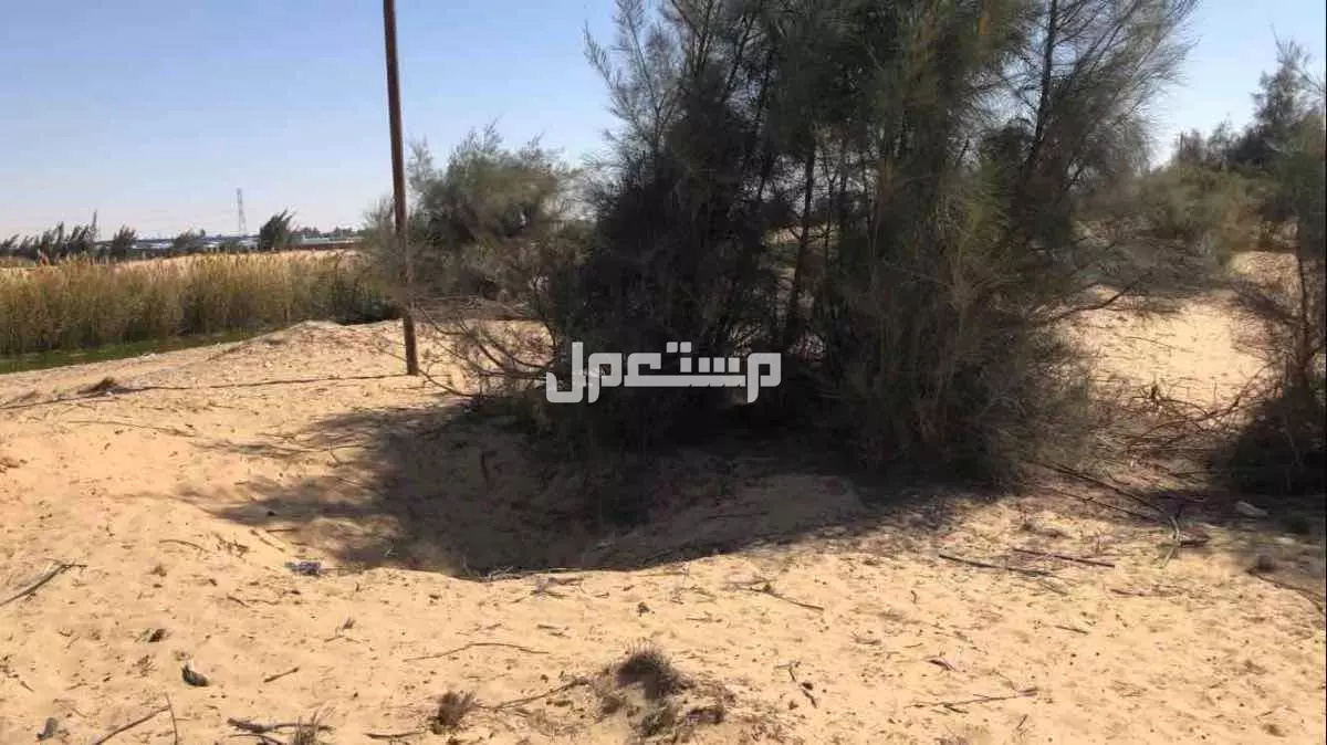أرض للبيع في قسم القنطرة شرق بسعر 2125000 جنيه مصري