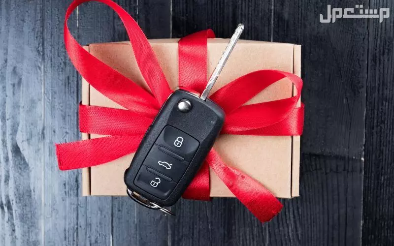 أفضل 10 أفكار هدايا للسيارة الجديدة بالصور.. هدايا للرجال والنساء صندوق أدوات الطوارئ للسيارة