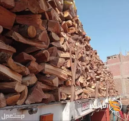 الحطـب الإفريقـى للتصدير المستخدم فى البر والتدفئـة