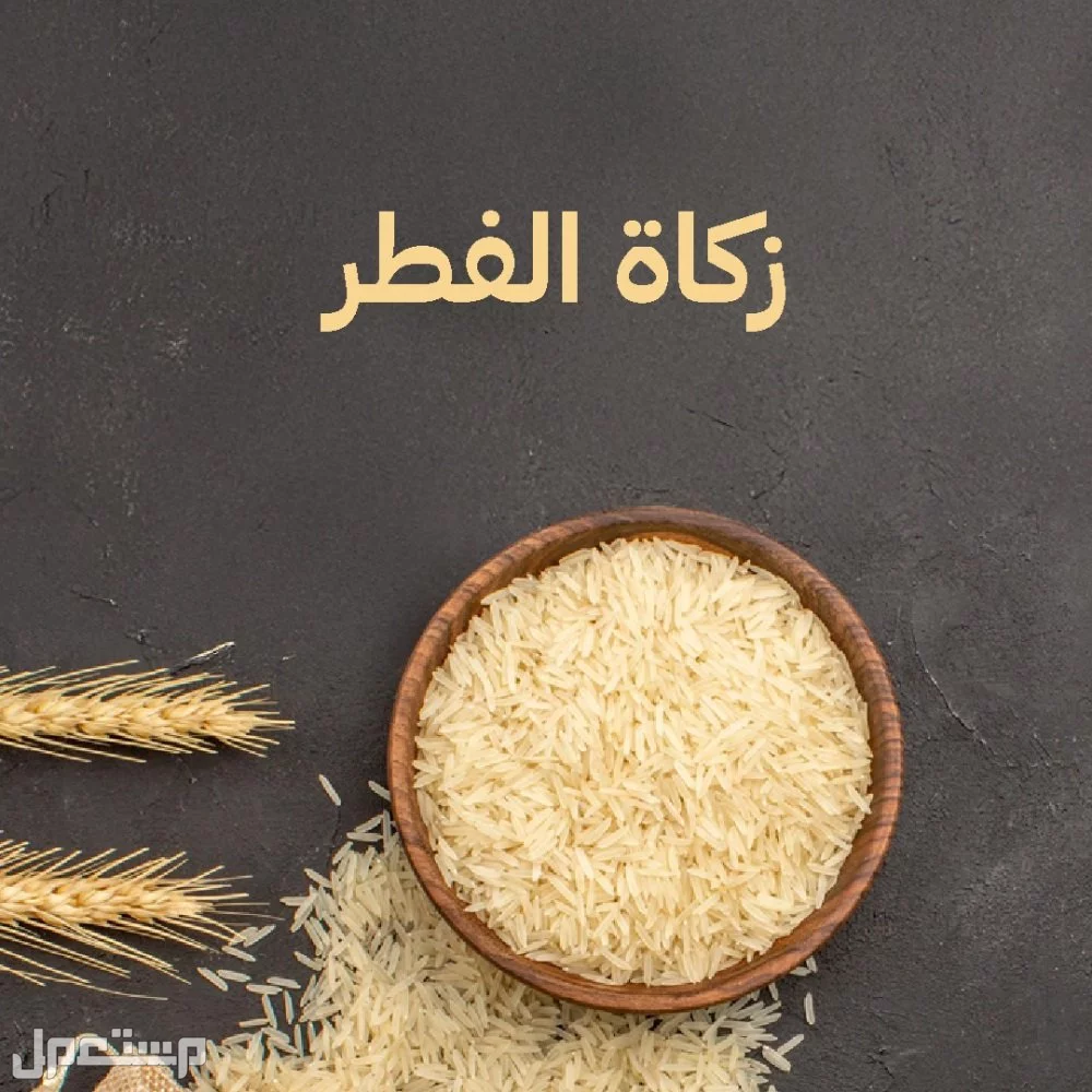 تعرف على مقدار زكاة الفطر للشخص الواحد 1446 – 2025 وأفضل وقت لإخراجها زكاة الفطر