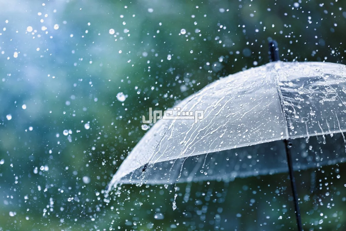 أفضل دعاء وقت نزول المطر في رمضان 1446 مكتوب دعاء المطر