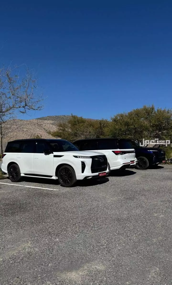 سيارة إنفينيتي QX80 موديل 2025: المواصفات الكاملة والفئات والأسعار