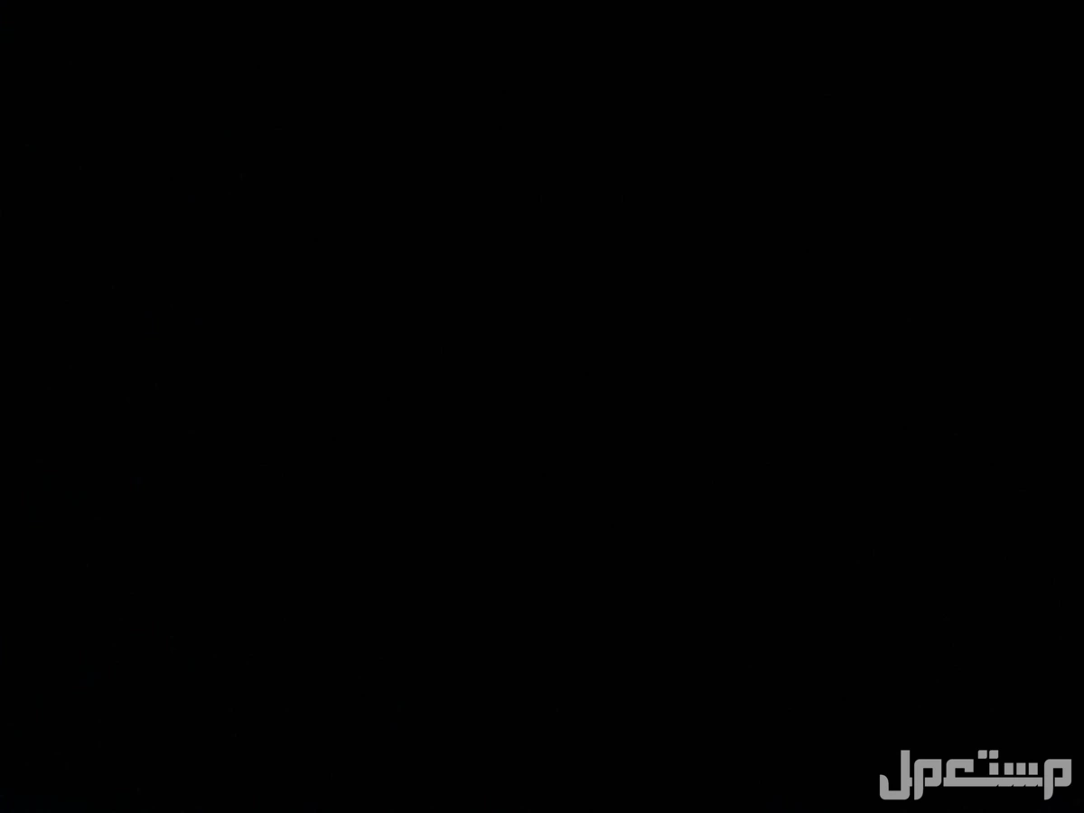 قروبات وظائف وتغطيات امنية في الرياض بسعر 30 ريال سعودي