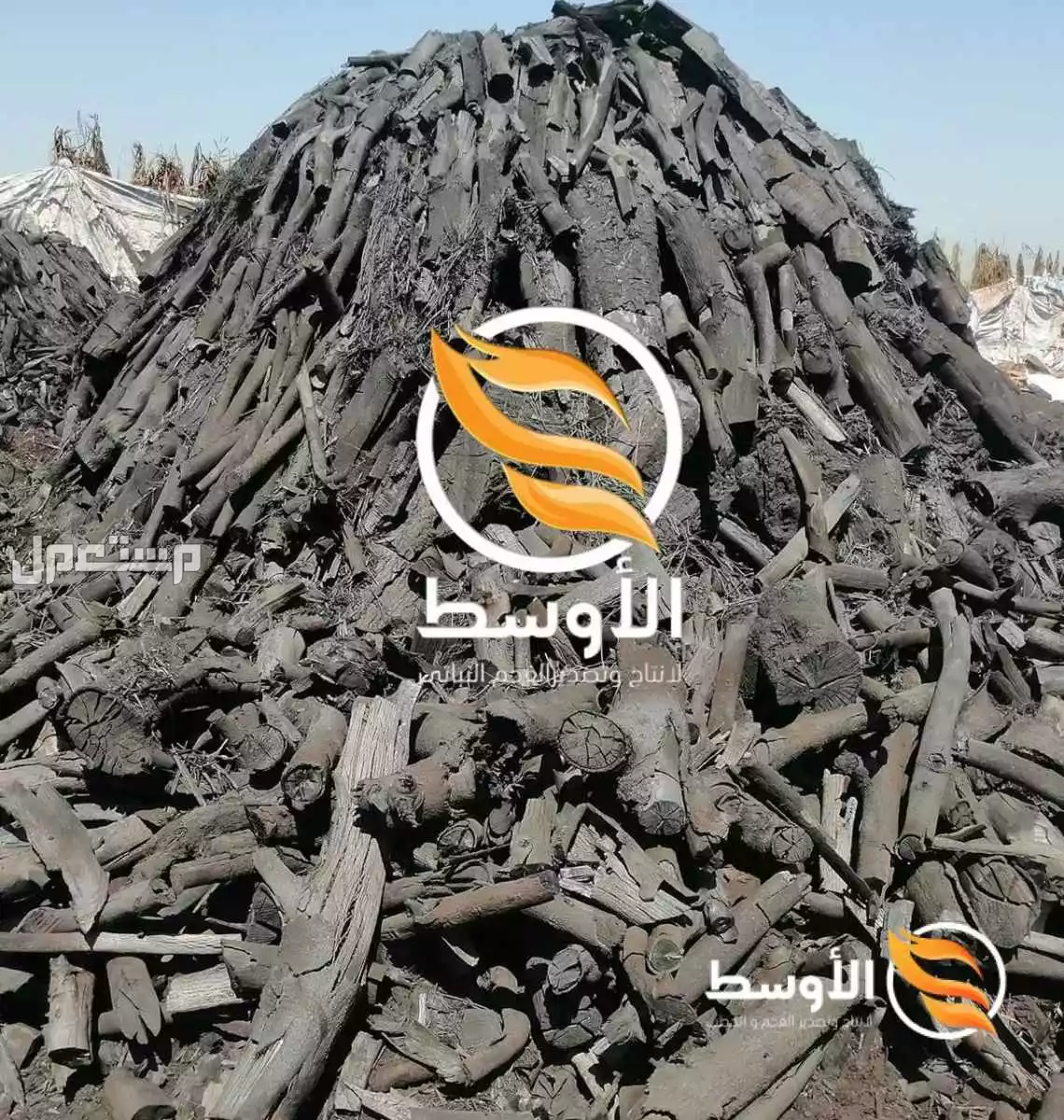 فحم الحمضيـات البرتقال والليمون للتصدير