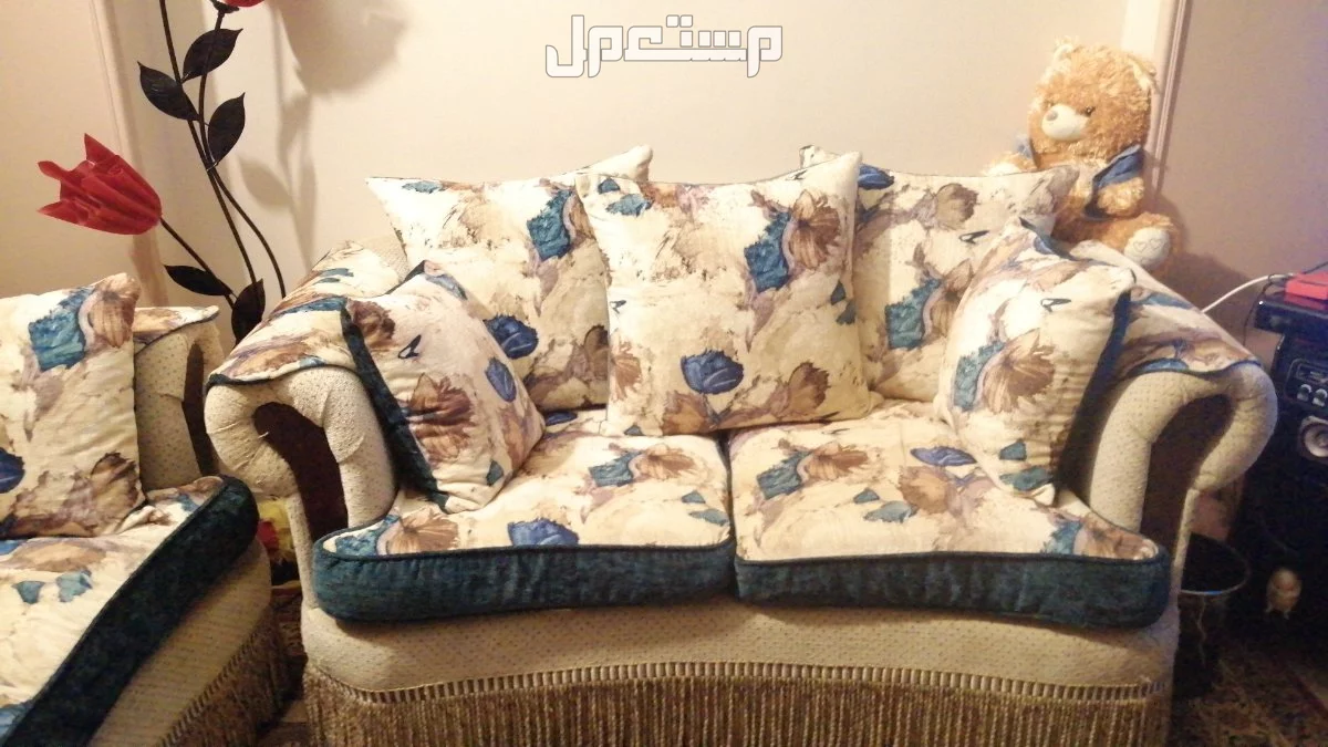 عفش مستعمل بحاله جيده وخشب ذان في الشرقيه مركز الزقازيق