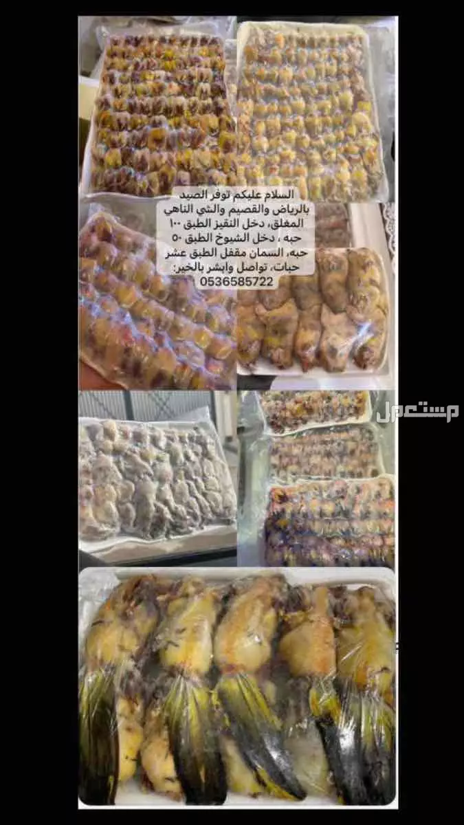 للبيع طيور في الرياض في القصيم