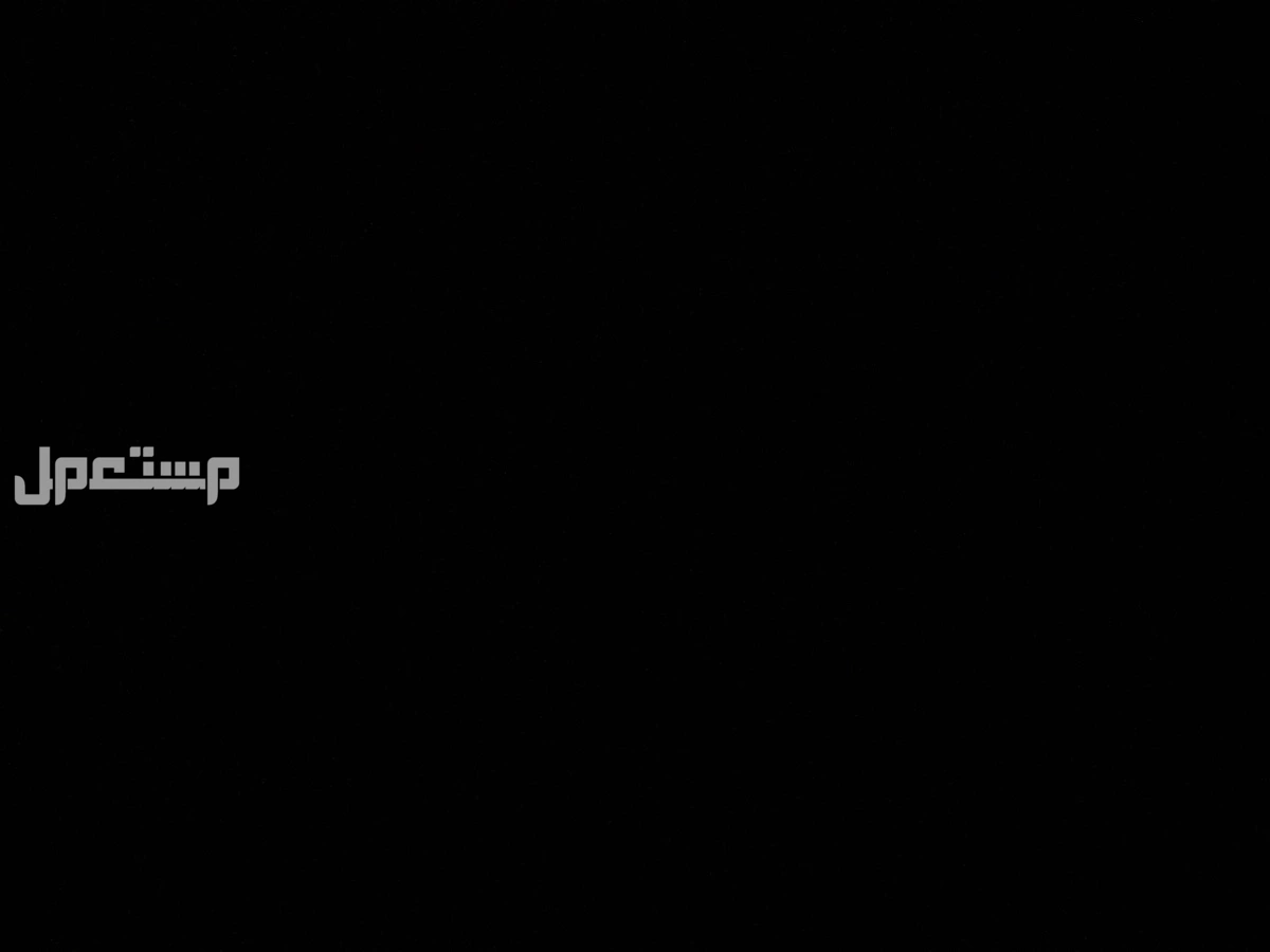 حساب فورت و روكيت  300 ريال سعودي لي الصمل 250 حساب فورت 139 سكن وفيه روكيت ليق السيزون و فينك عاديه و قولد وكل التفاصيل هاص