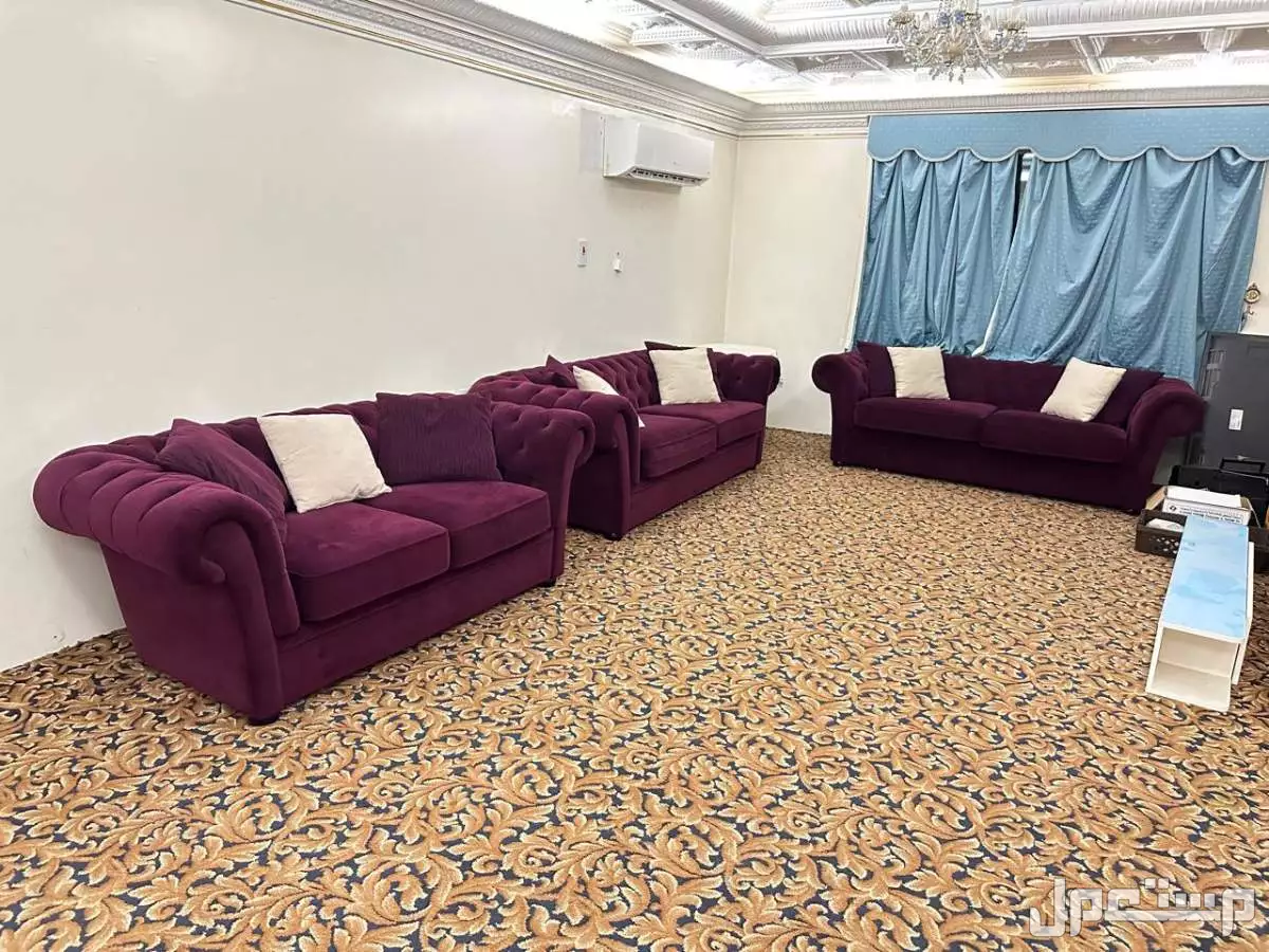 كنب بنفسجي فاخر  في الشرقيه بسعر 4500