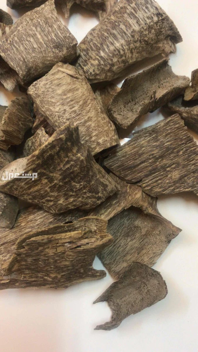 منطقة الخبر  عود طبيعي متنوع باسعار مختلفة