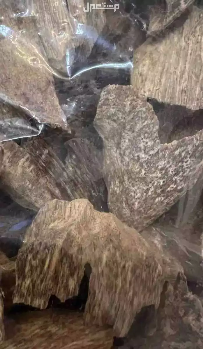 منطقة الخبر  عود طبيعي متنوع باسعار مختلفة