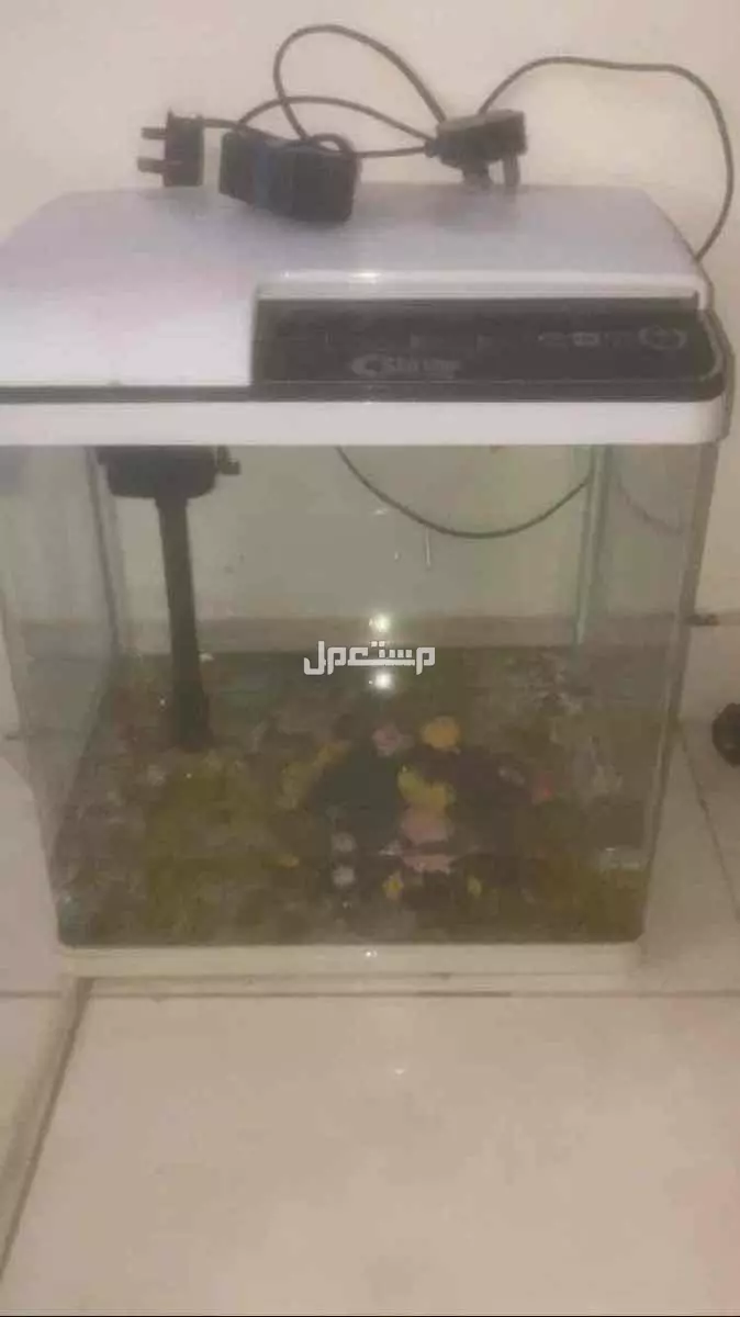 حوض سمك للبيع في الرياض بسعر 250 ريال سعودي