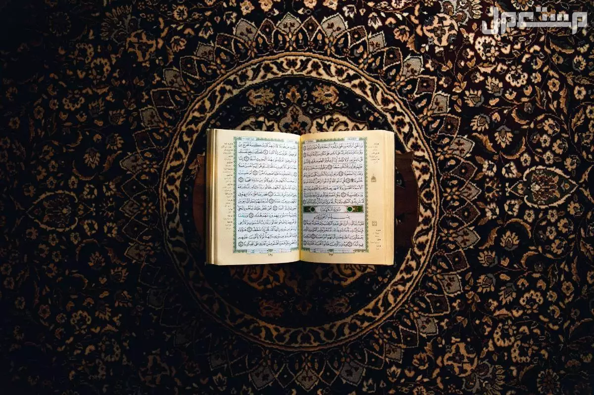 دعاء ليلة القدر 27 رمضان 2025.. افضل أدعية مكتوبة مستجابة الأعمال المستحبة في ليلة القدر