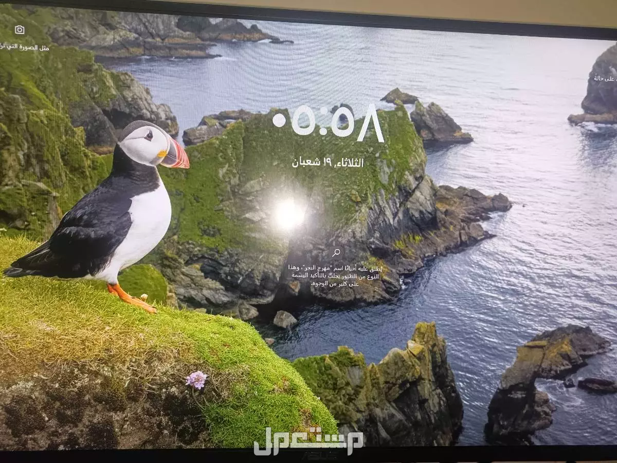 كمبيوتر قيمنق وشاشه و مكسر ومايك