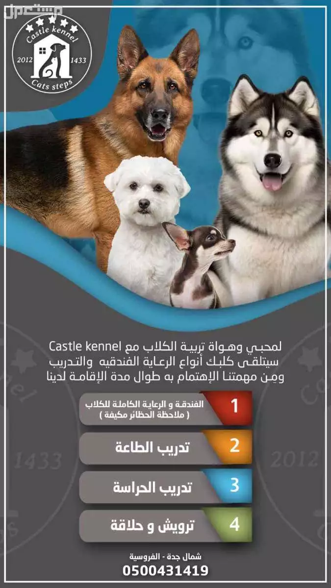 فندقة وتدريب وعناية استضافة كلاب