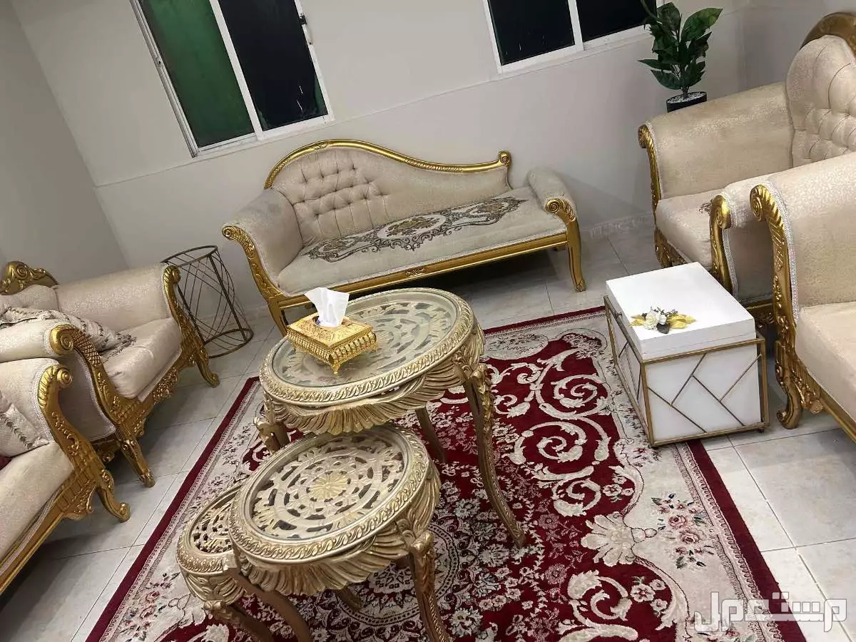 بن حثم في المدينة المنورة بسعر 1300 ريال سعودي