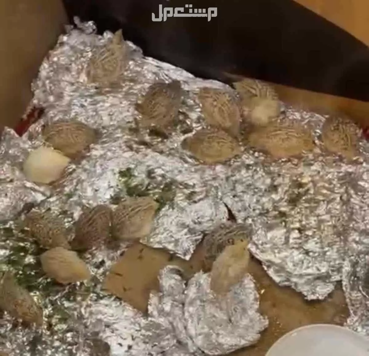 سمان للبيع في بيشة بسعر 8 ريال سعودي