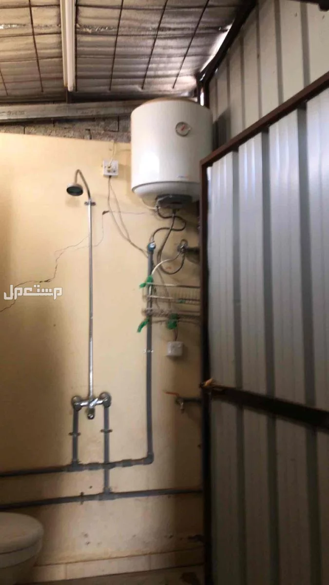 النظيم  في تبوك بسعر 300 ريال سعودي