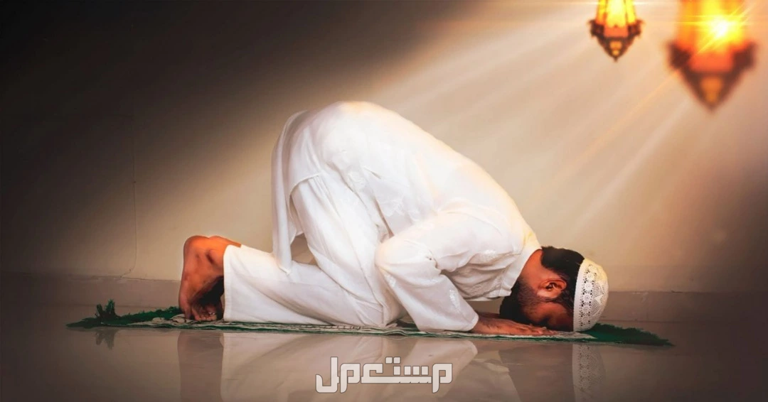 دعاء ليلة القدر 25 رمضان 2025.. وأفضل أدعية العشر الأواخر مستجابة أدعية ليلة القدر مستجابة