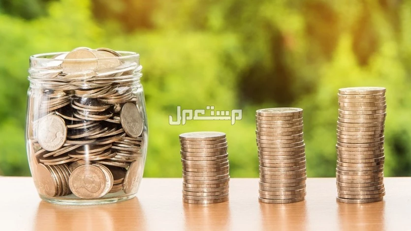 كيفية إخراج زكاة الفطر في السعودية إلكترونيًا ومقدارها لعام 1446-2025 طريقة حساب زكاة الفطر في السعودية