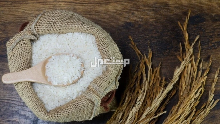 كيفية إخراج زكاة الفطر في السعودية إلكترونيًا ومقدارها لعام 1446-2025 زكاة الفطر 2025-1446