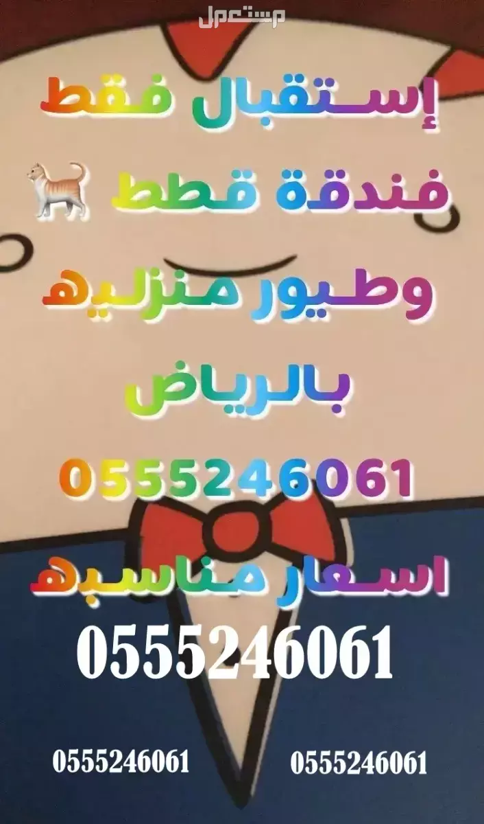 فندقة قطط  الرياض - وقت اجازتكم